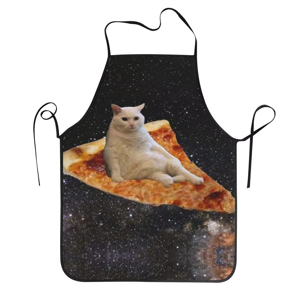 1PC Unisex Space Pizza Cat Apr - Home Cooking For Cats 评论和价格